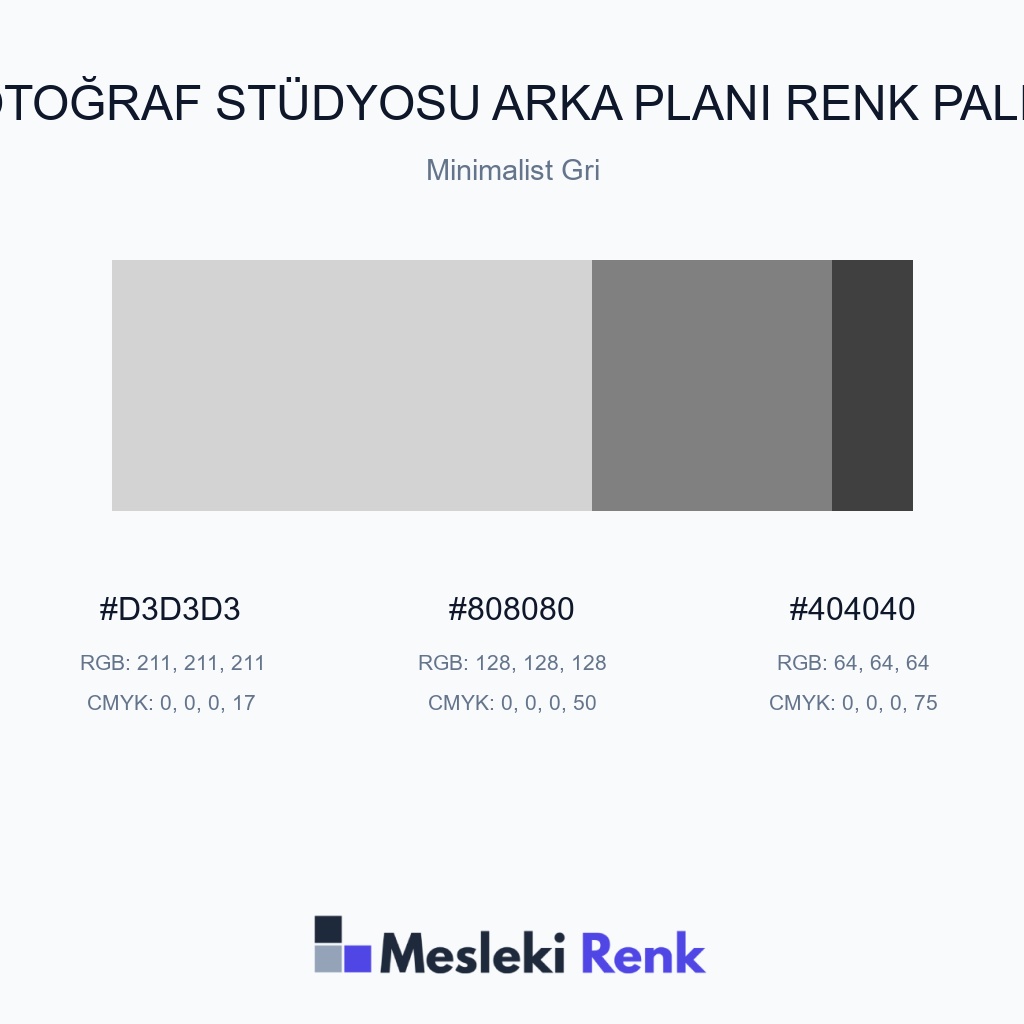 Fotoğraf Stüdyosu Arka Planı Minimalist Gri Renk Paleti