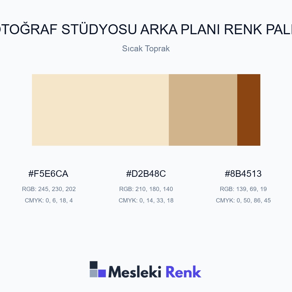 Fotoğraf Stüdyosu Arka Planı Sıcak Toprak Renk Paleti