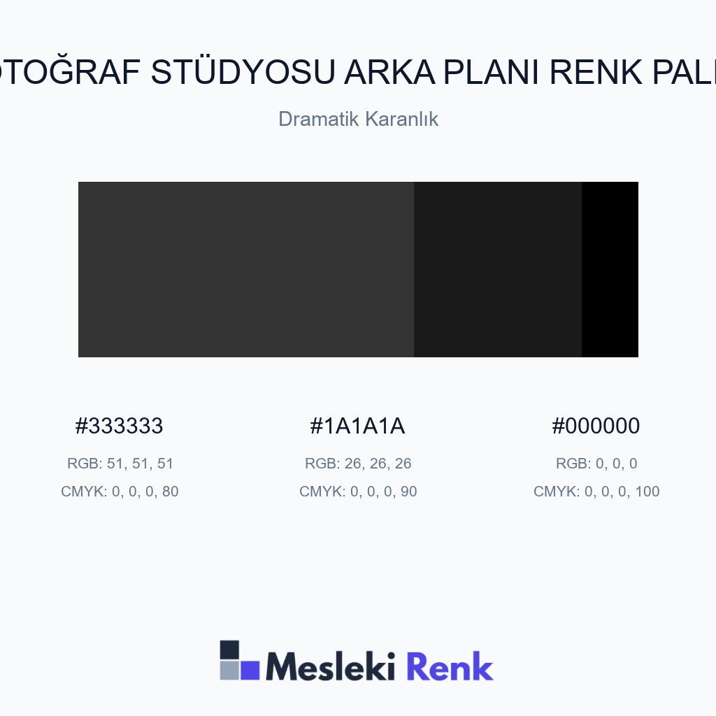 Fotoğraf Stüdyosu Arka Planı Dramatik Karanlık Renk Paleti