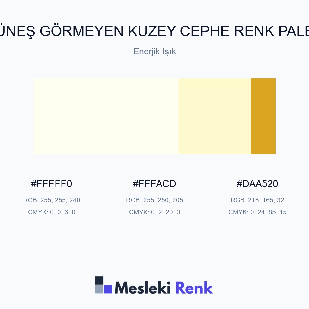Güneş Görmeyen Kuzey Cephe Enerjik Işık Renk Paleti