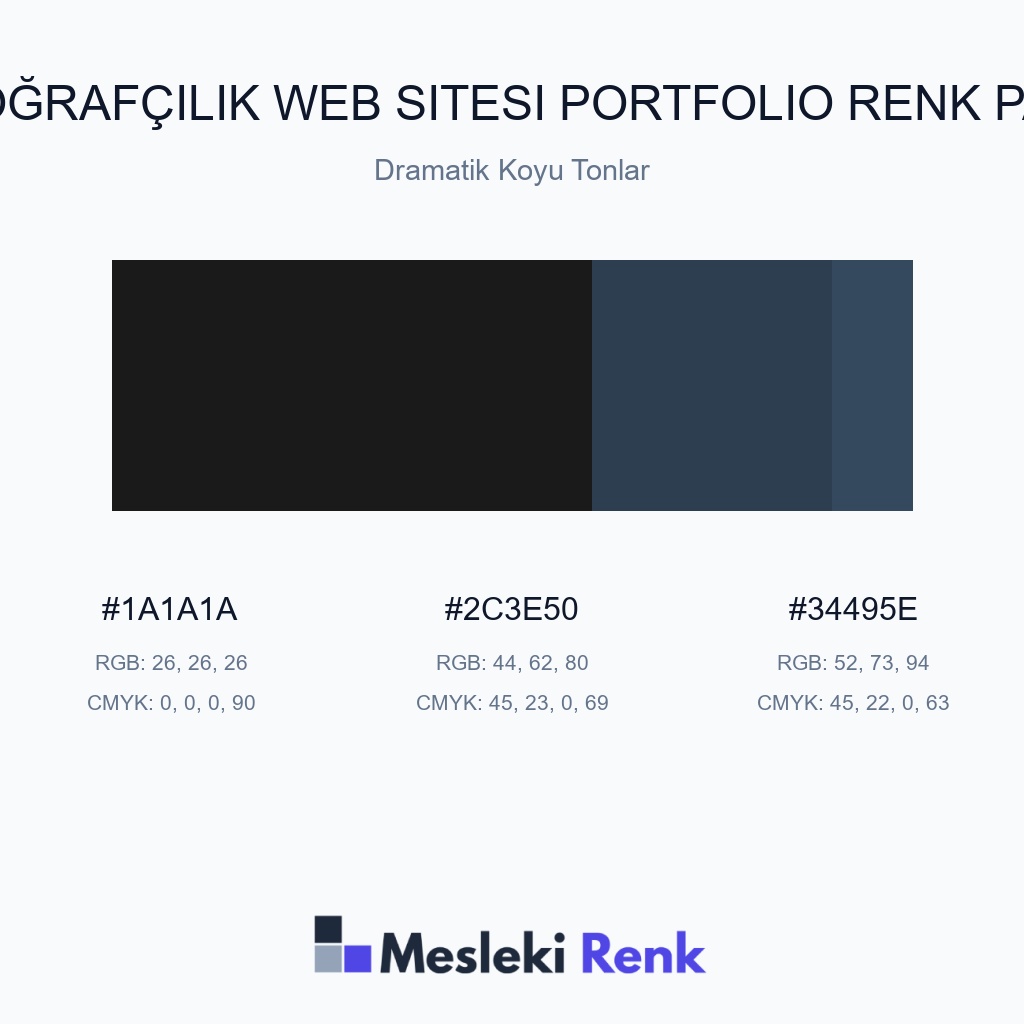 Fotoğrafçılık Web Sitesi Portfolio Dramatik Koyu Tonlar Renk Paleti