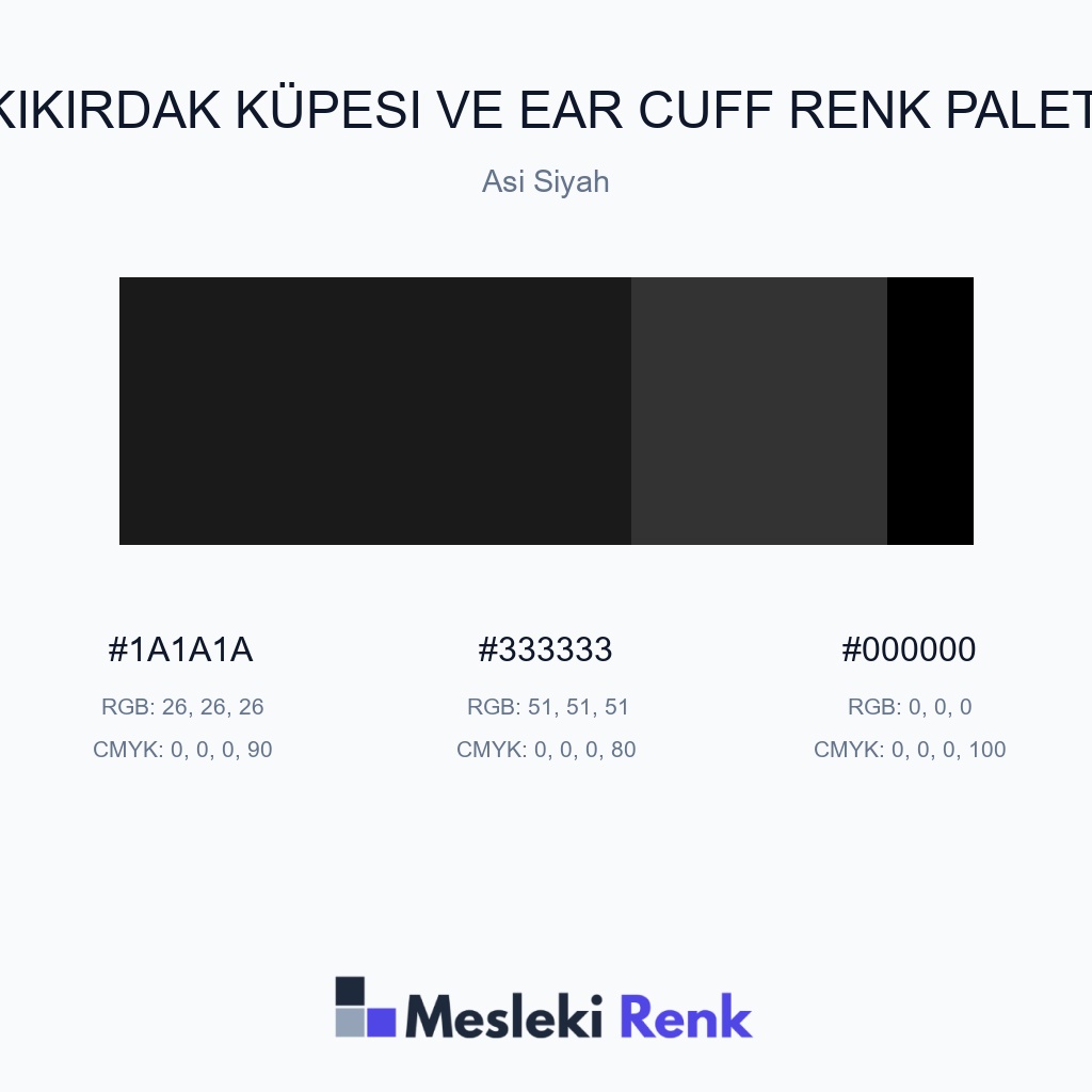 Kıkırdak Küpesi ve Ear Cuff Asi Siyah Renk Paleti