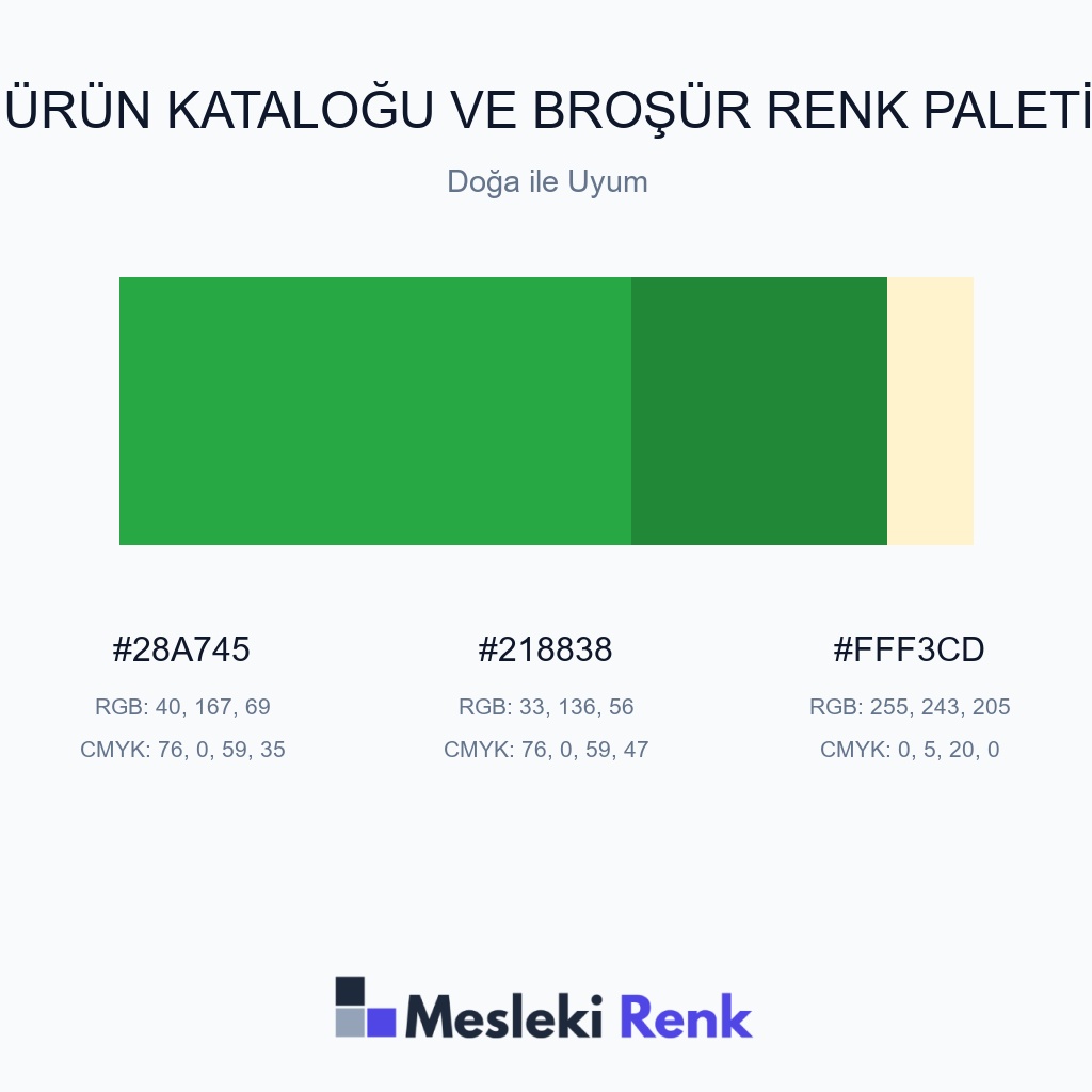 Ürün Kataloğu ve Broşür Doğa ile Uyum Renk Paleti