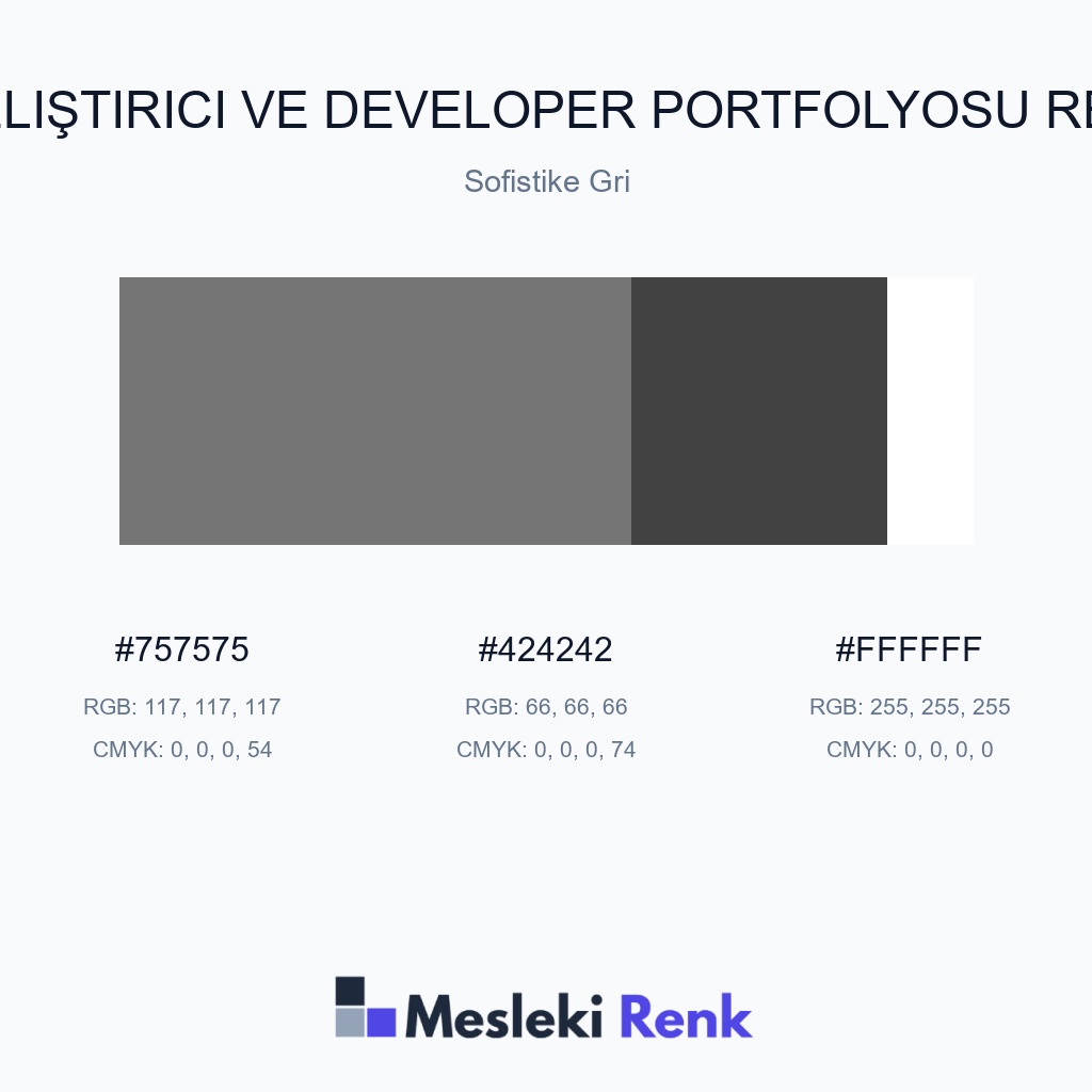 Yazılım Geliştirici ve Developer Portfolyosu Sofistike Gri Renk Paleti