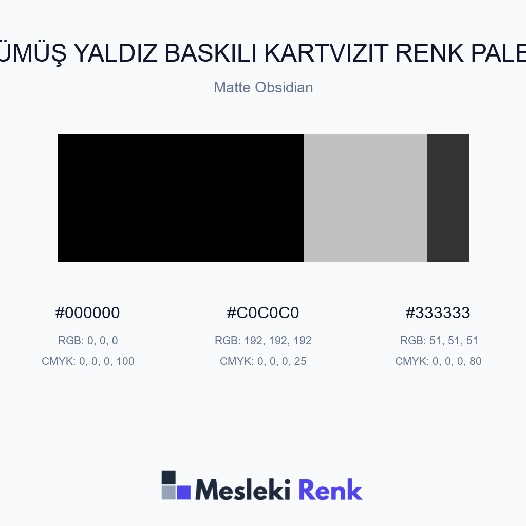 Gümüş Yaldız Baskılı Kartvizit Matte Obsidian Renk Paleti