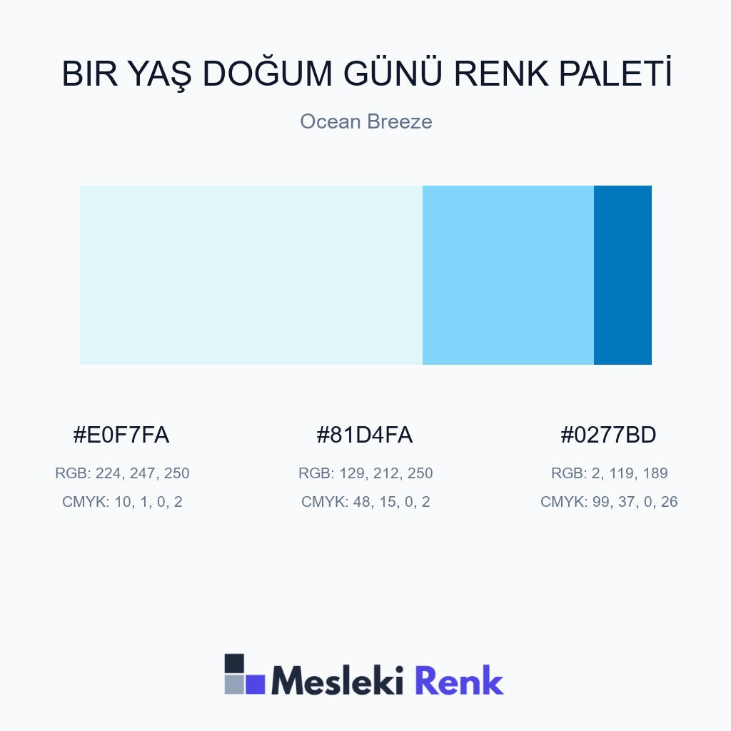 Bir Yaş Doğum Günü Ocean Breeze Renk Paleti