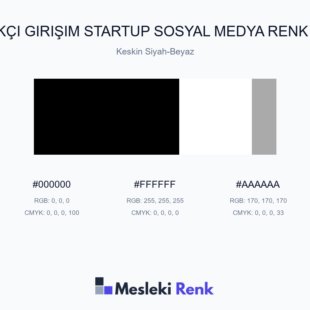 Yenilikçi Girişim Startup Sosyal Medya Keskin Siyah-Beyaz Renk Paleti