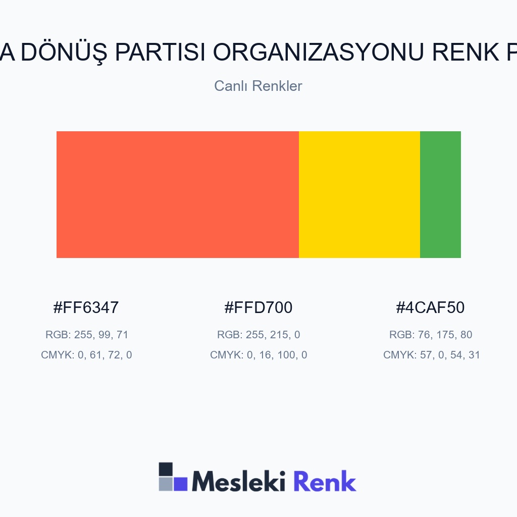 Okula Dönüş Partisi Organizasyonu Canlı Renkler Renk Paleti