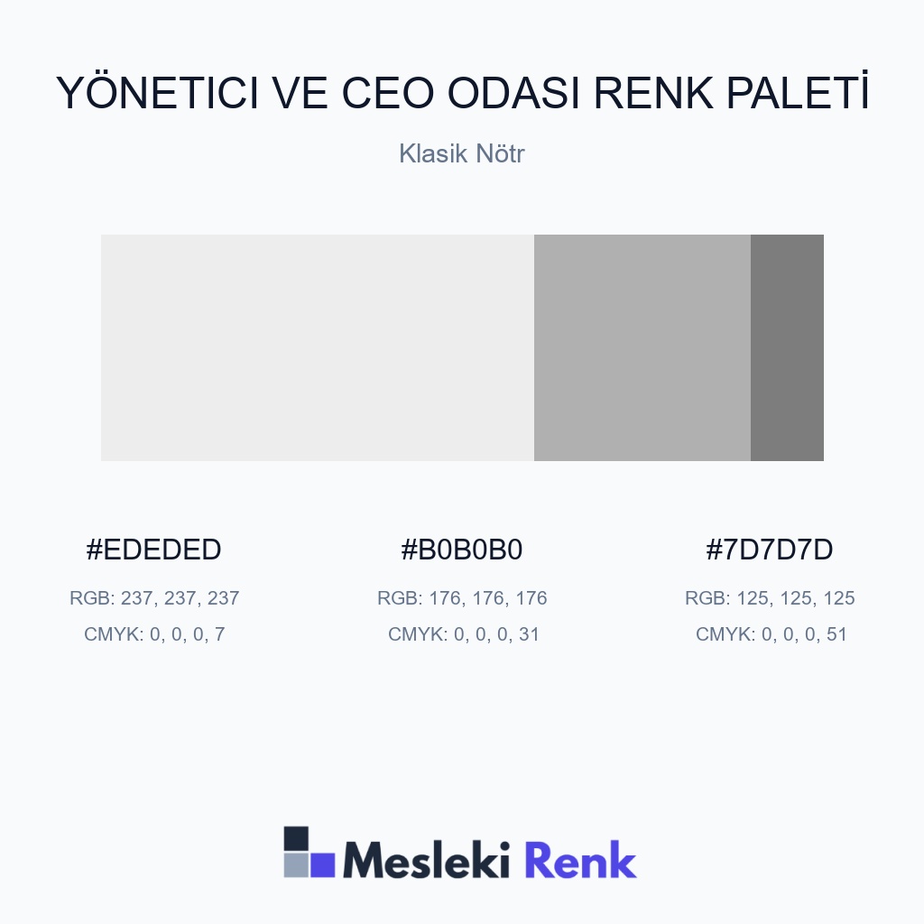 Yönetici ve CEO Odası Klasik Nötr Renk Paleti