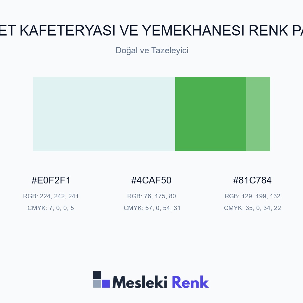 Şirket Kafeteryası ve Yemekhanesi Doğal ve Tazeleyici Renk Paleti