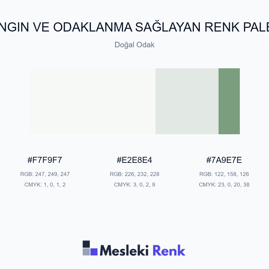 Dingin ve Odaklanma Sağlayan Doğal Odak Renk Paleti