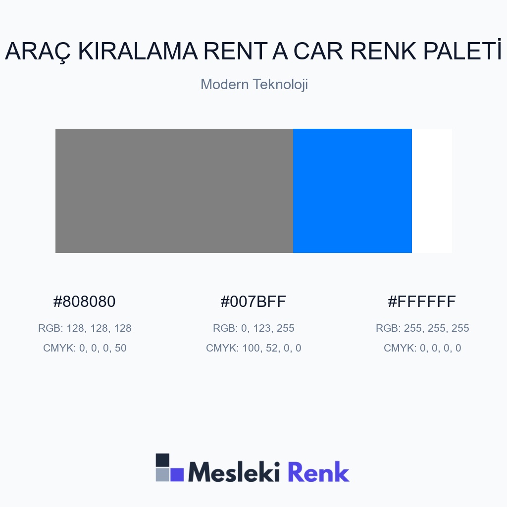 Araç Kiralama Rent A Car Modern Teknoloji Renk Paleti