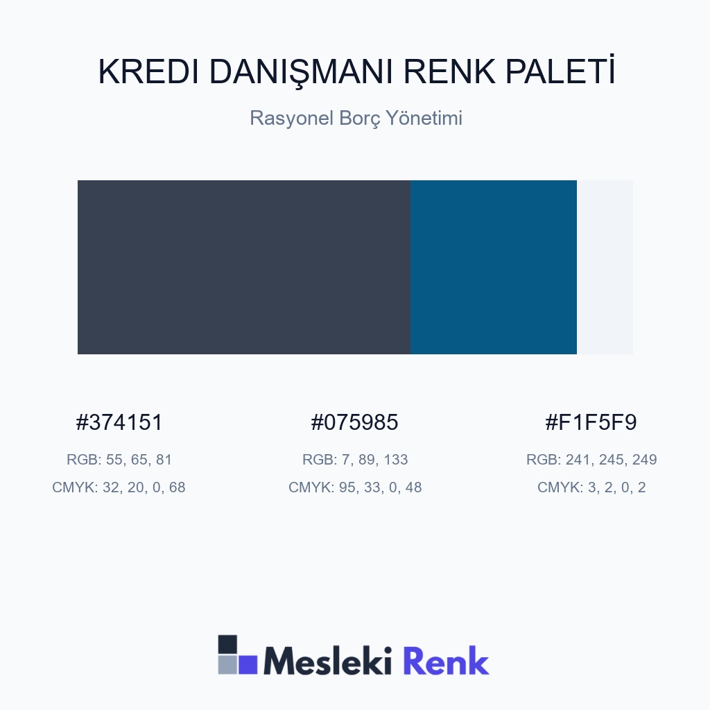 Kredi Danışmanı Rasyonel Borç Yönetimi Renk Paleti