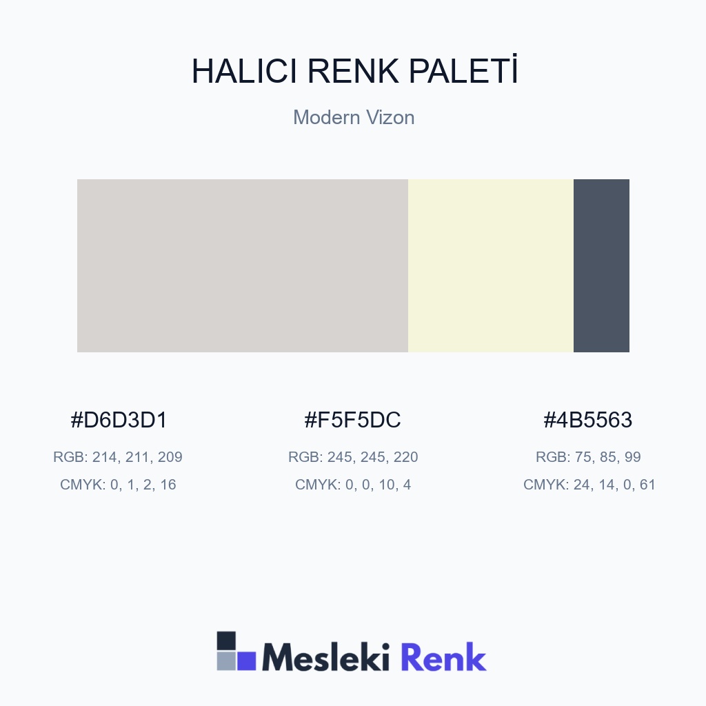 Halıcı Modern Vizon Renk Paleti