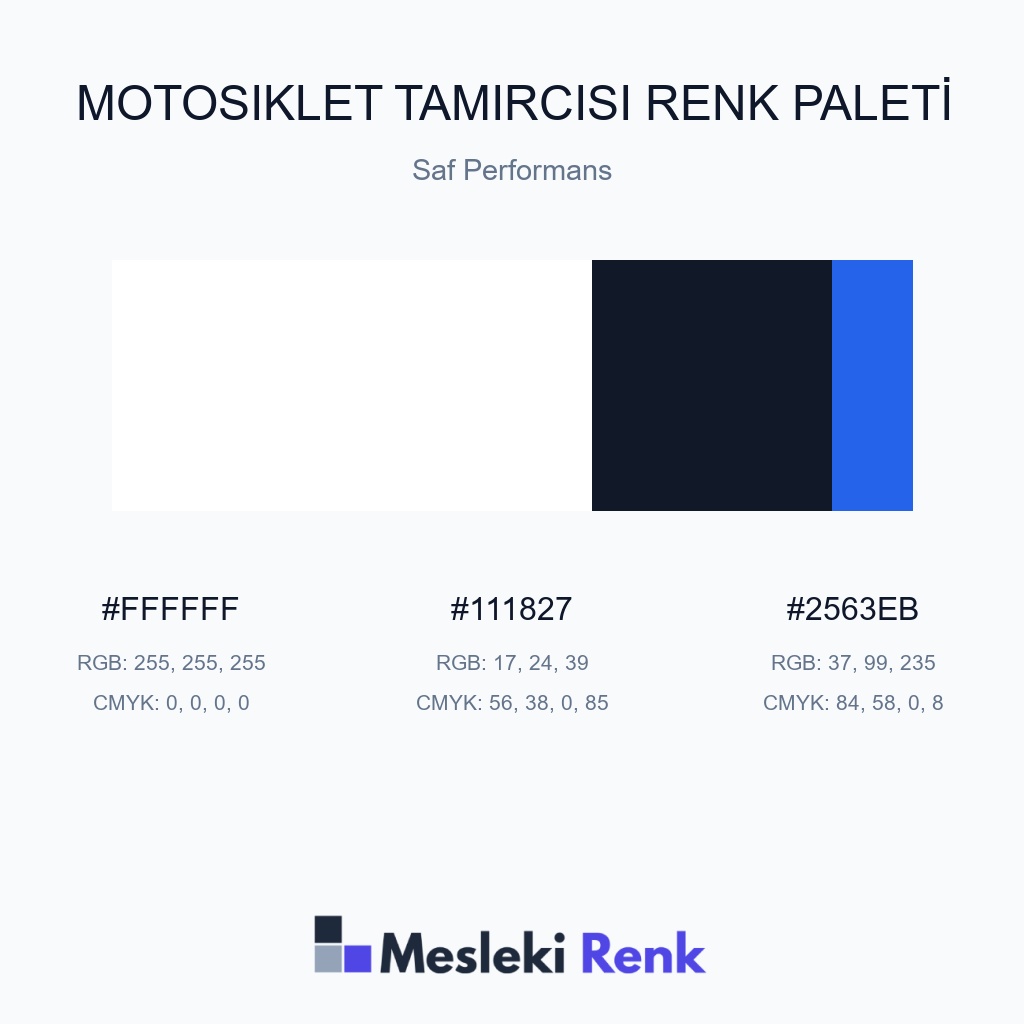 Motosiklet Tamircisi Saf Performans Renk Paleti