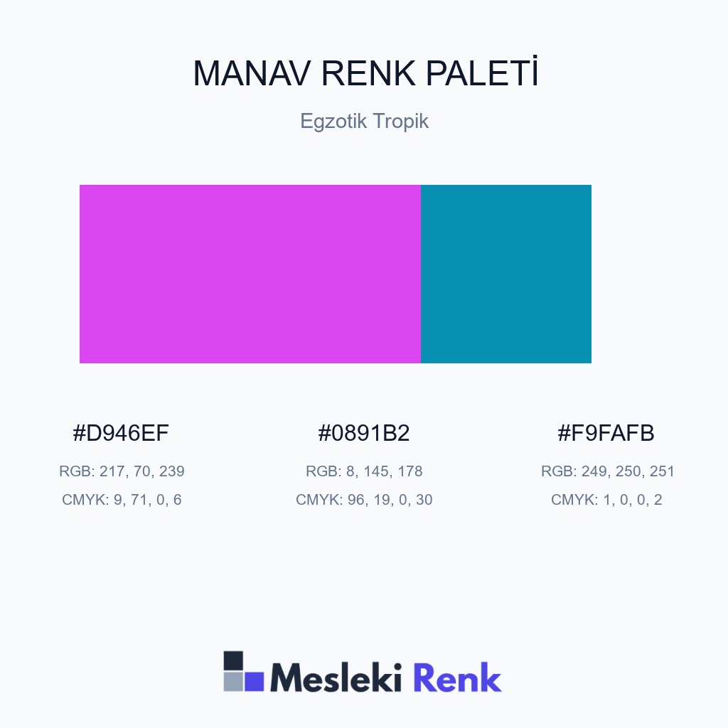 Manav Egzotik Tropik Renk Paleti