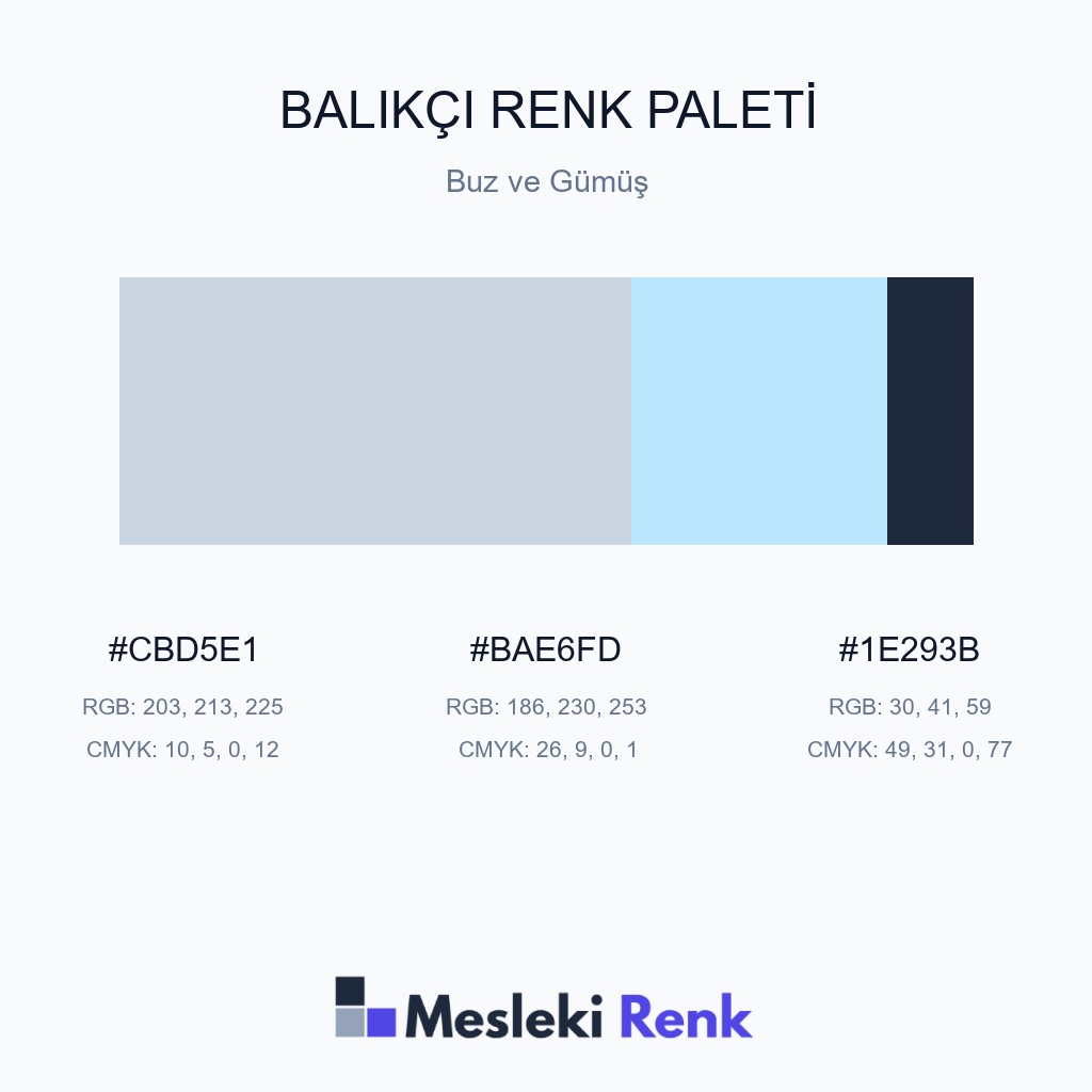 Balıkçı Buz ve Gümüş Renk Paleti