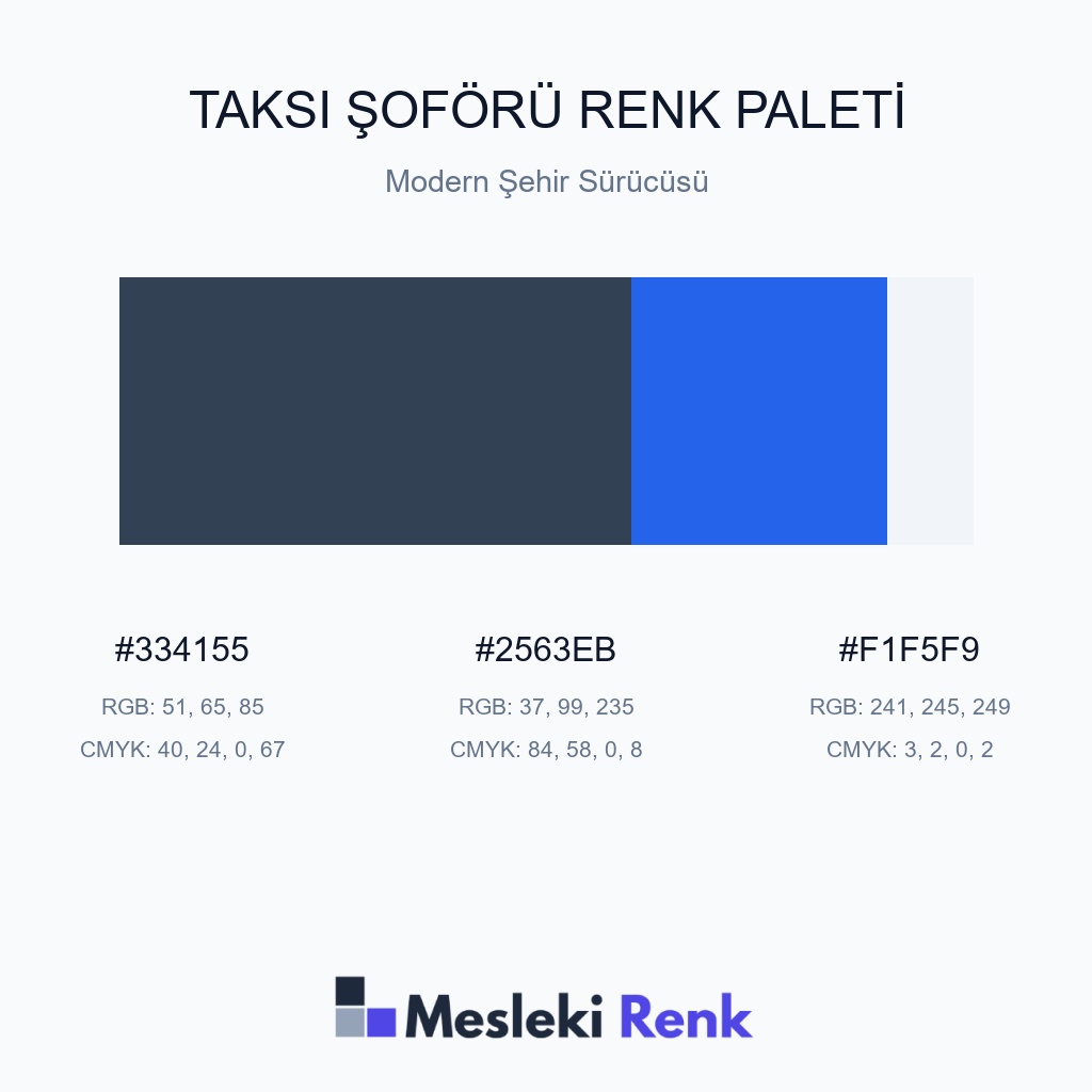Taksi Şoförü Modern Şehir Sürücüsü Renk Paleti