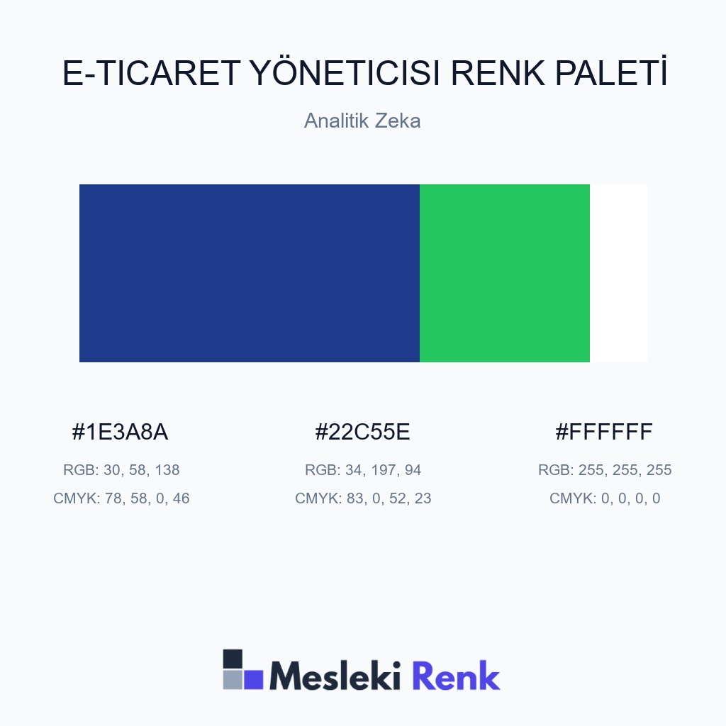 E-Ticaret Yöneticisi Analitik Zeka Renk Paleti