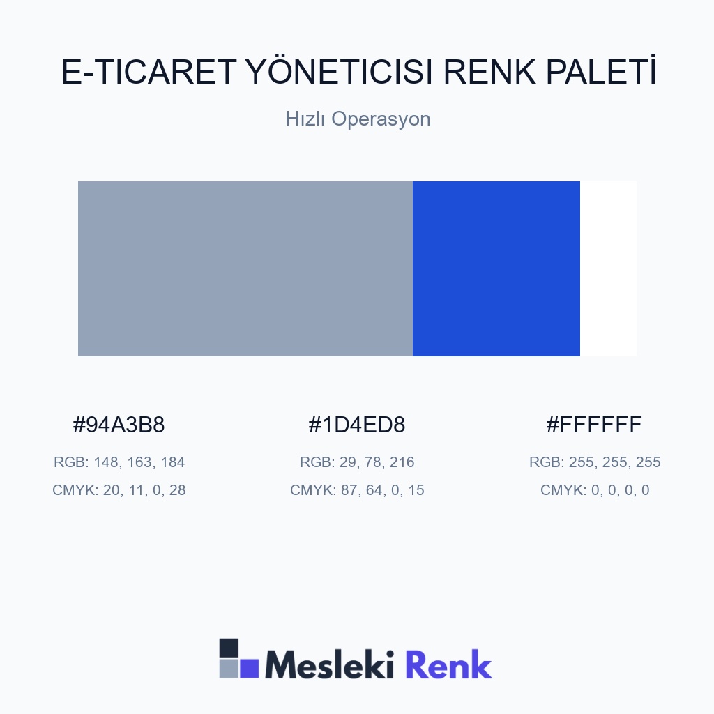 E-Ticaret Yöneticisi Hızlı Operasyon Renk Paleti