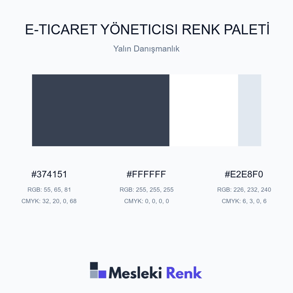E-Ticaret Yöneticisi Yalın Danışmanlık Renk Paleti