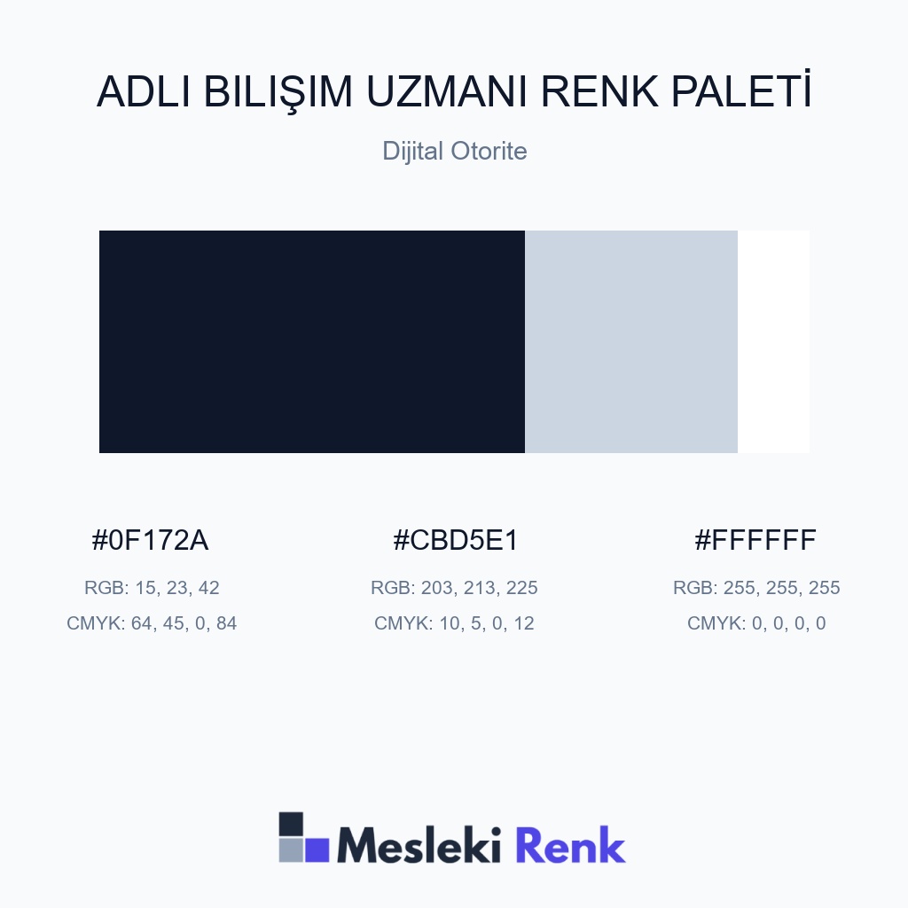 Adli Bilişim Uzmanı Dijital Otorite Renk Paleti