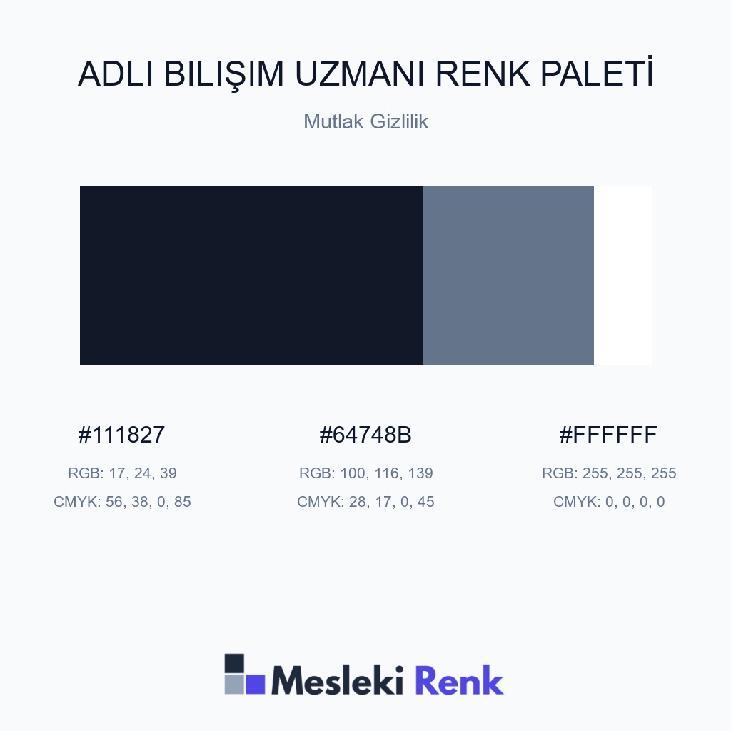 Adli Bilişim Uzmanı Mutlak Gizlilik Renk Paleti