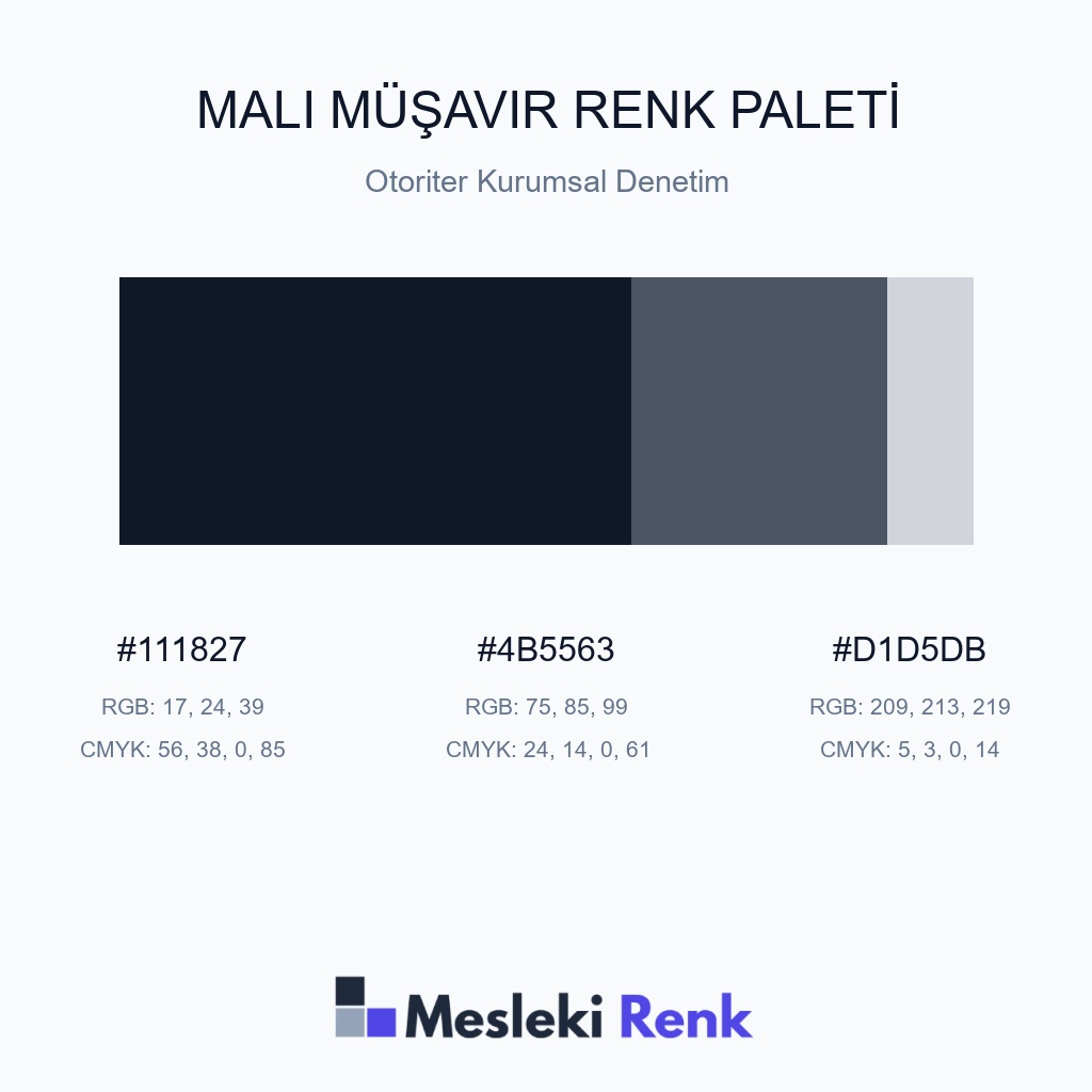 Mali Müşavir Otoriter Kurumsal Denetim Renk Paleti