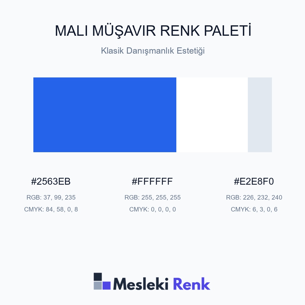 Mali Müşavir Klasik Danışmanlık Estetiği Renk Paleti