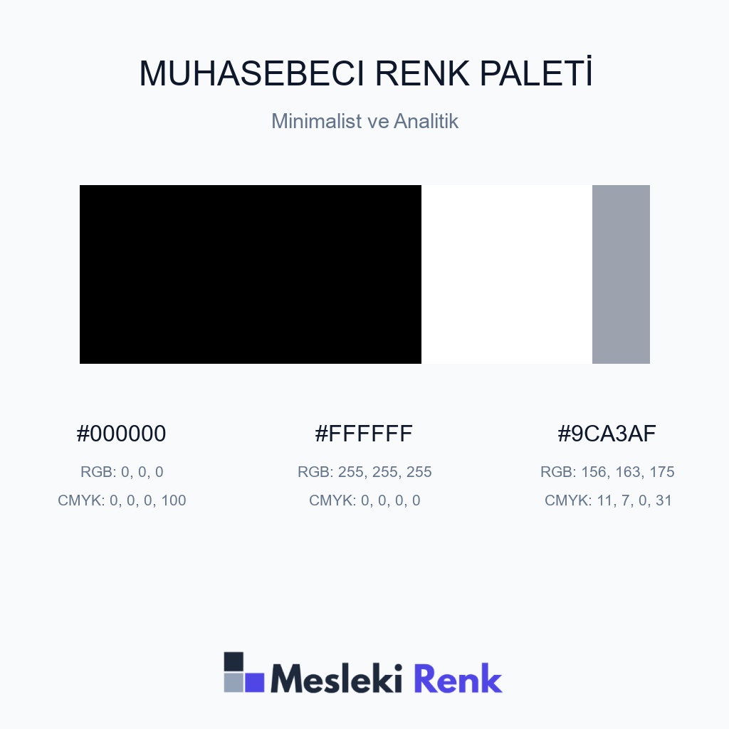 Muhasebeci Minimalist ve Analitik Renk Paleti