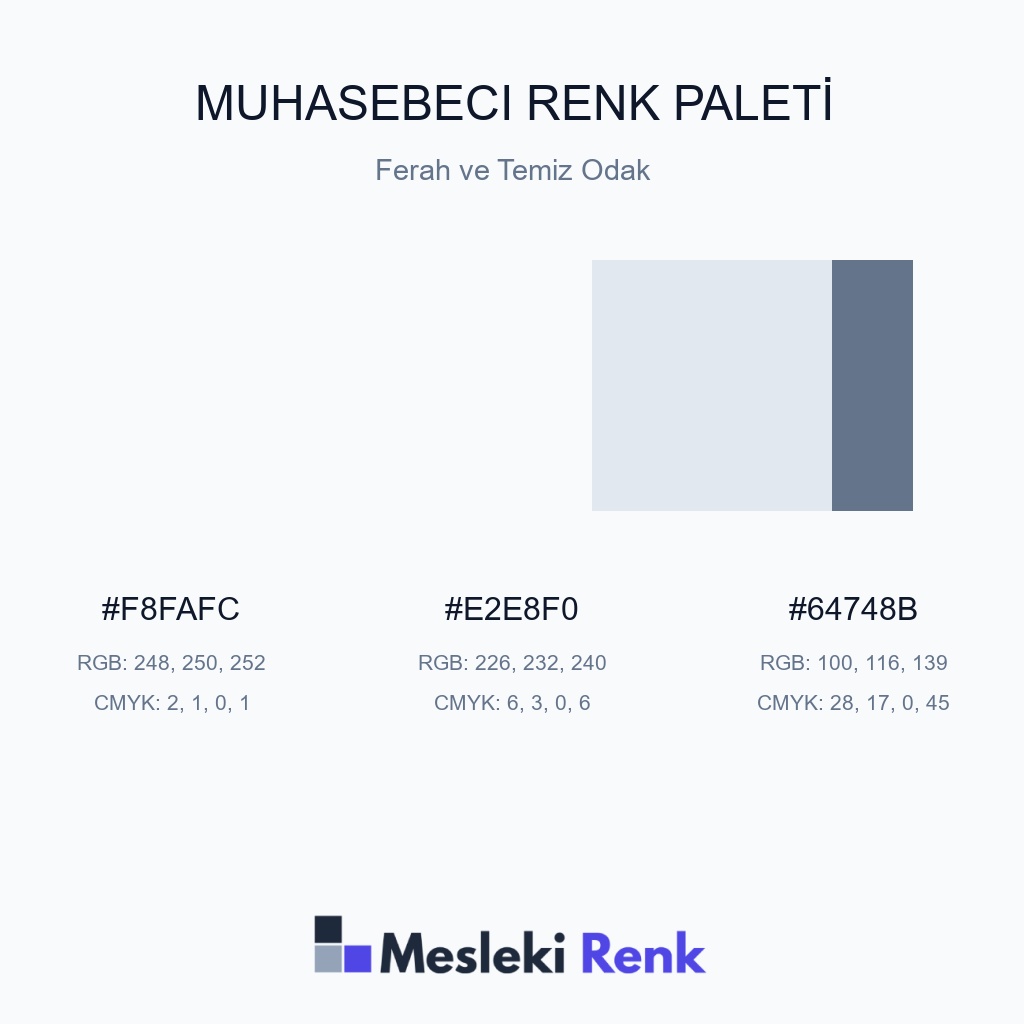Muhasebeci Ferah ve Temiz Odak Renk Paleti