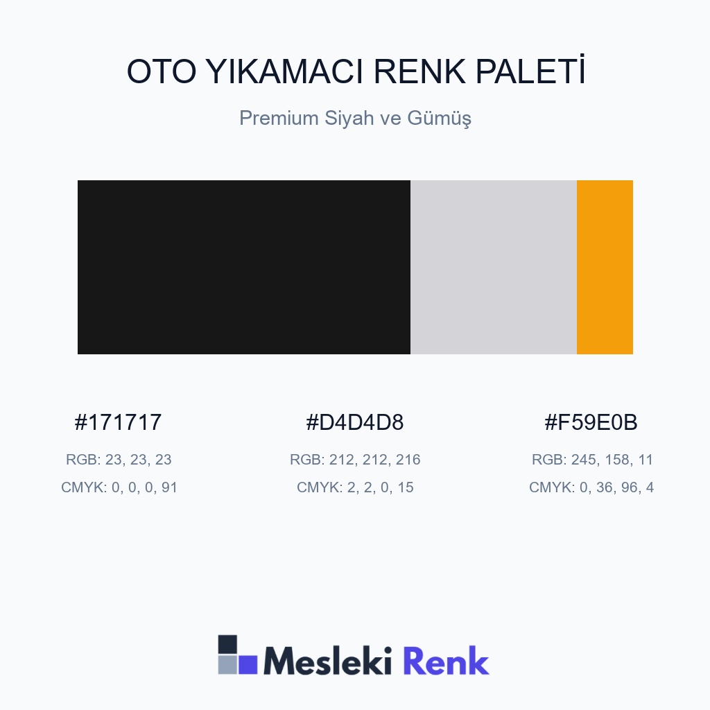 Oto Yıkamacı Premium Siyah ve Gümüş Renk Paleti