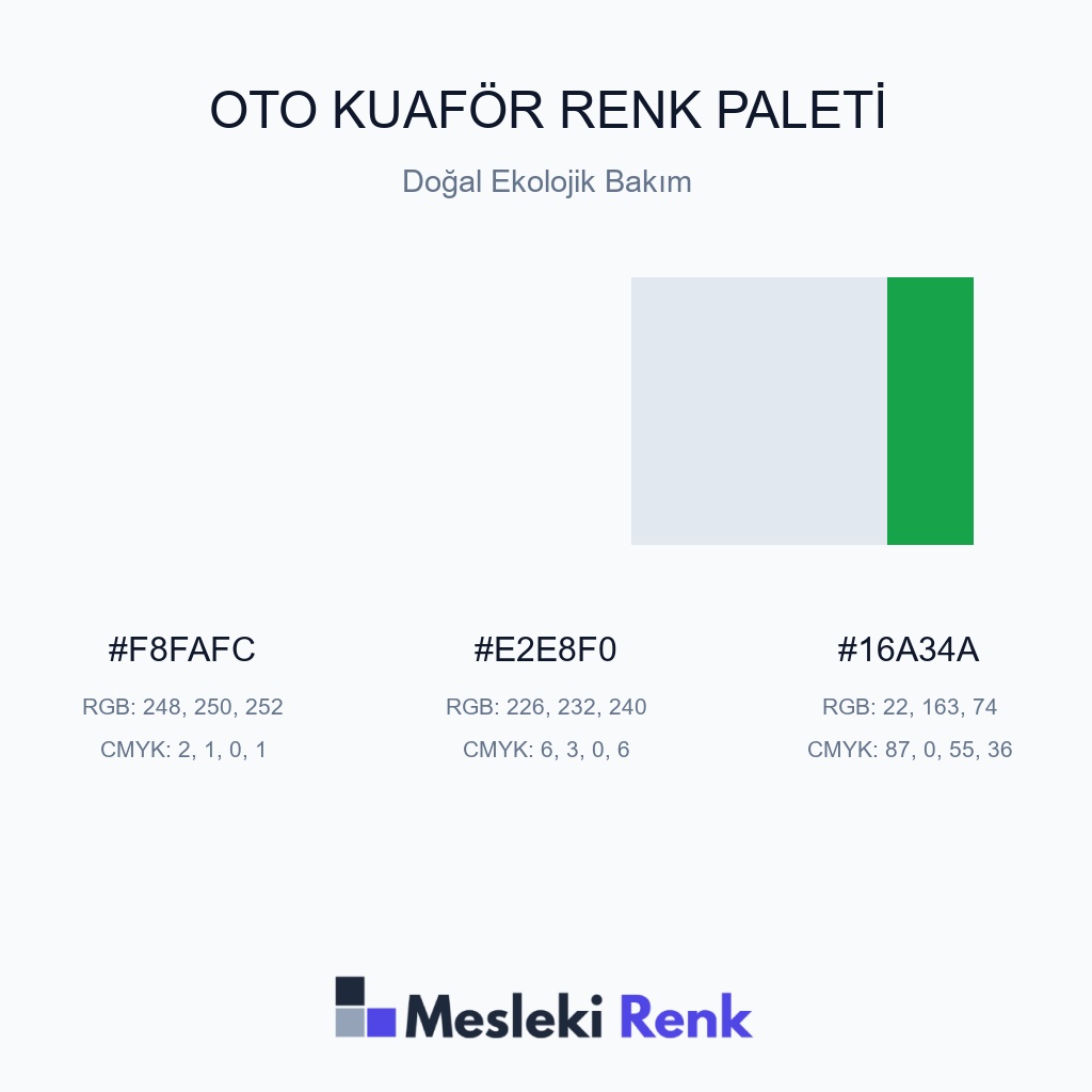 Oto Kuaför Doğal Ekolojik Bakım Renk Paleti