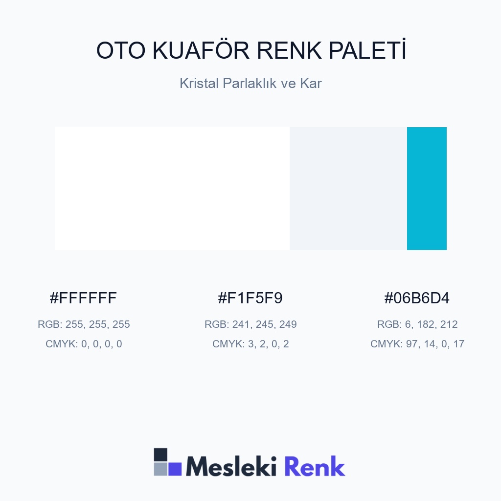 Oto Kuaför Kristal Parlaklık ve Kar Renk Paleti
