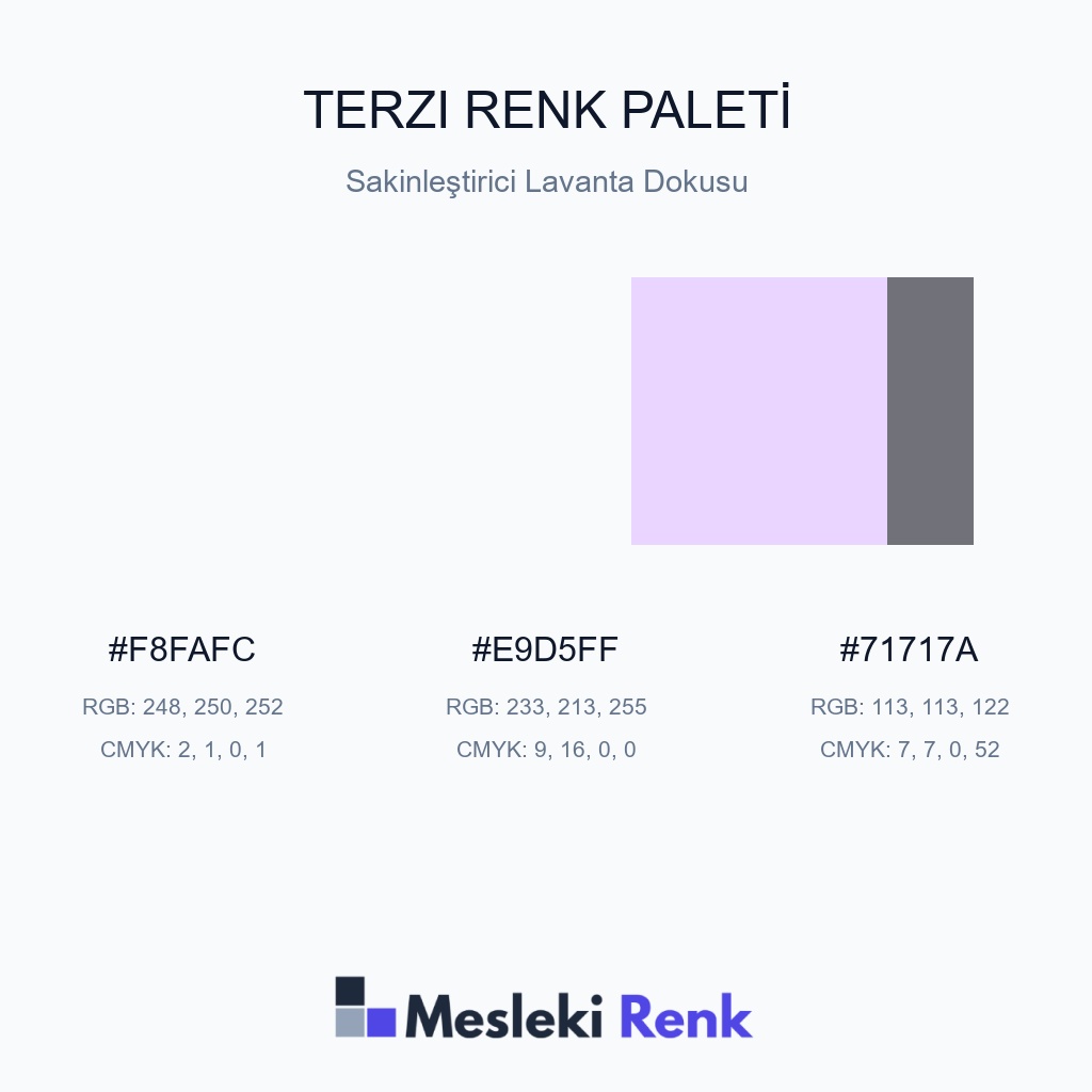 Terzi Sakinleştirici Lavanta Dokusu Renk Paleti