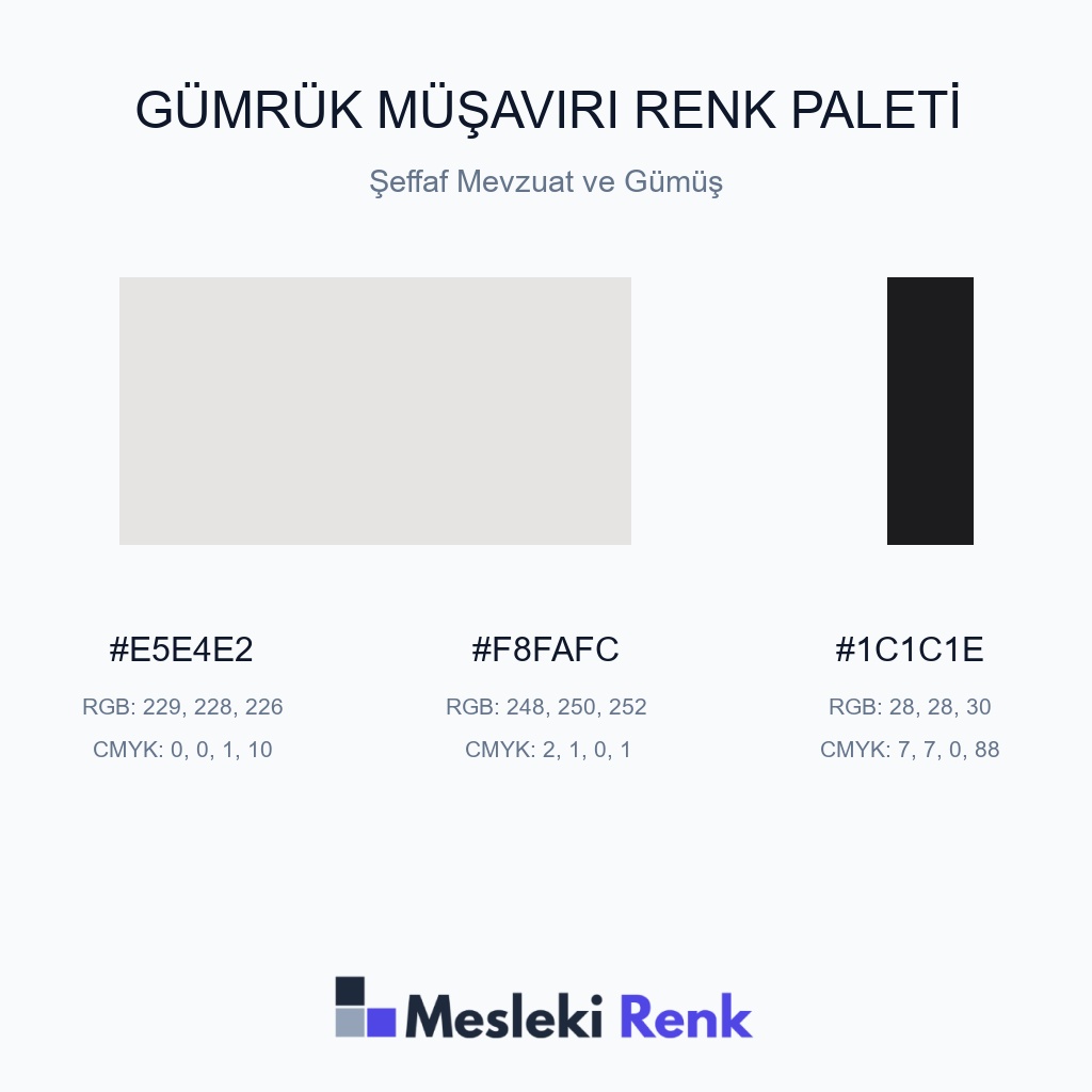 Gümrük Müşaviri Şeffaf Mevzuat ve Gümüş Renk Paleti