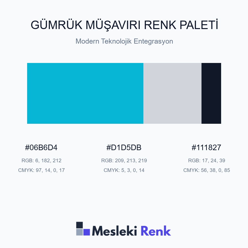 Gümrük Müşaviri Modern Teknolojik Entegrasyon Renk Paleti