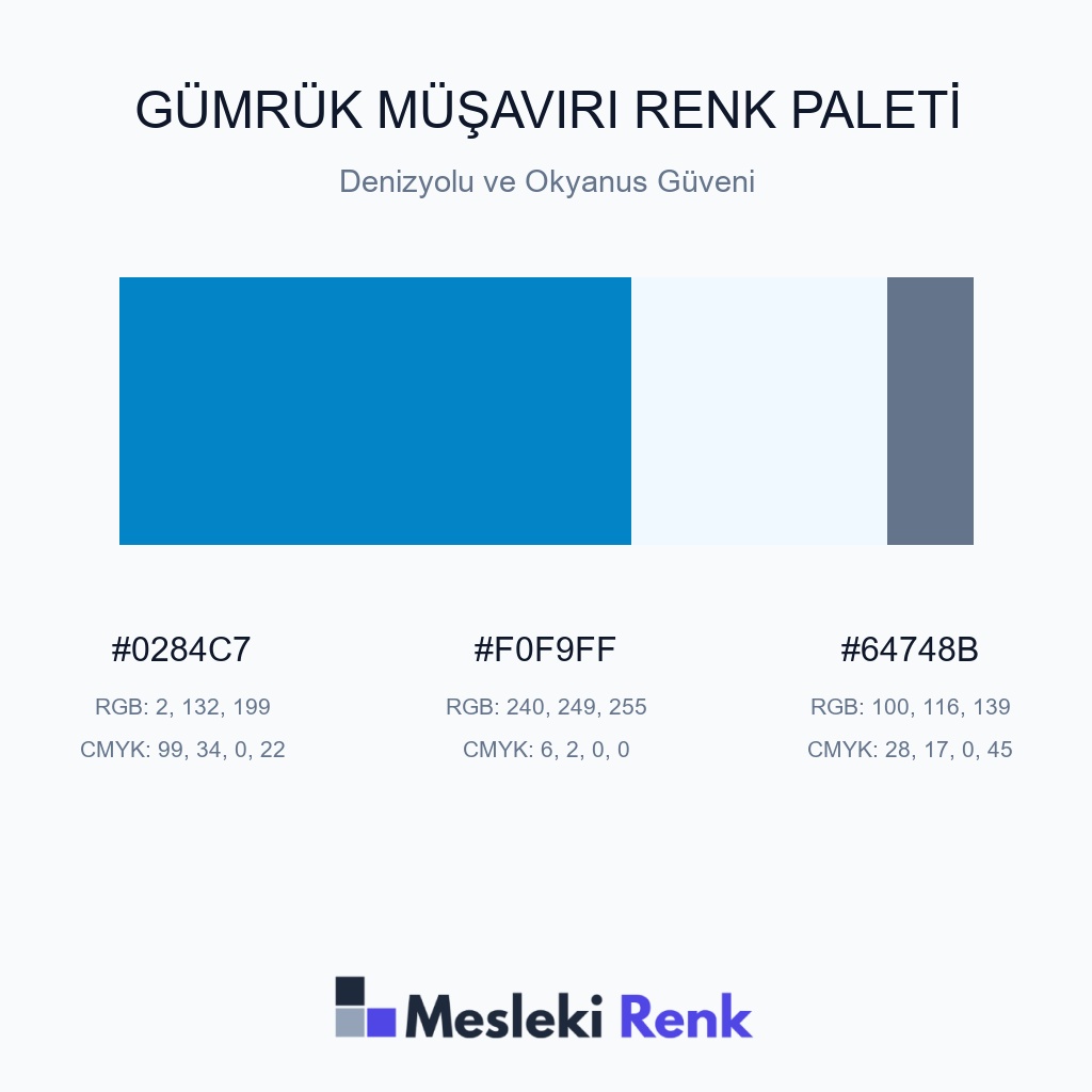 Gümrük Müşaviri Denizyolu ve Okyanus Güveni Renk Paleti