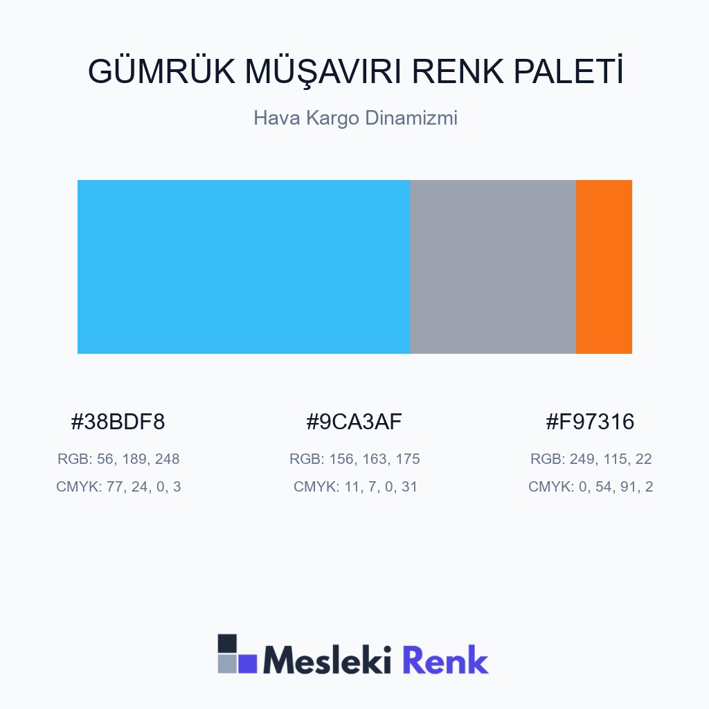 Gümrük Müşaviri Hava Kargo Dinamizmi Renk Paleti