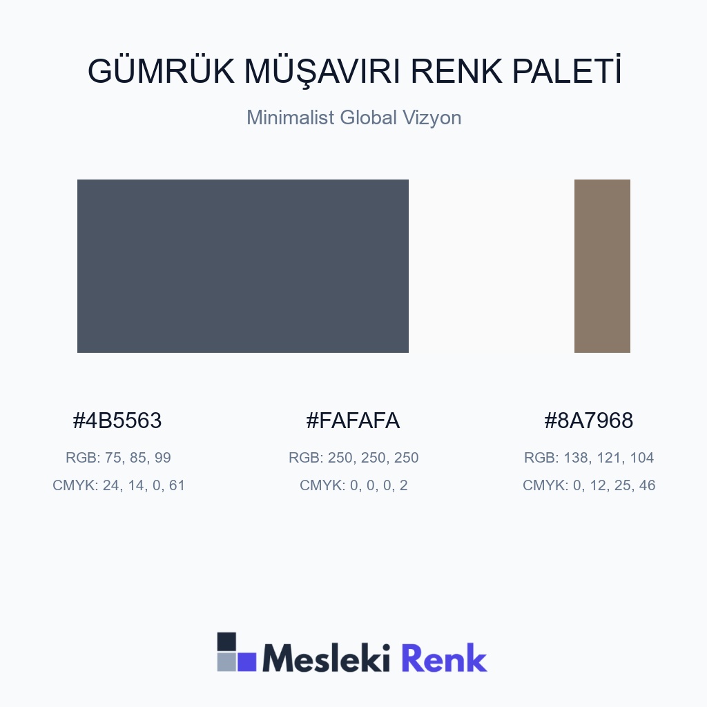 Gümrük Müşaviri Minimalist Global Vizyon Renk Paleti