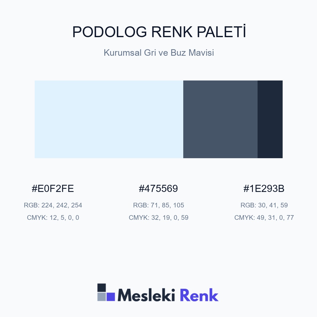 Podolog Kurumsal Gri ve Buz Mavisi Renk Paleti