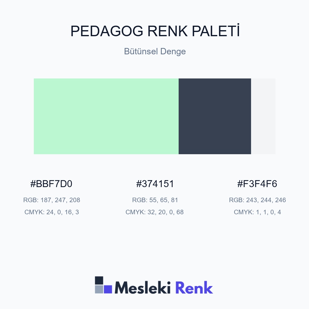 Pedagog Bütünsel Denge Renk Paleti