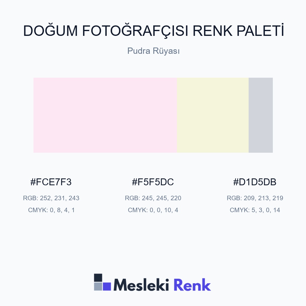 Doğum Fotoğrafçısı Pudra Rüyası Renk Paleti