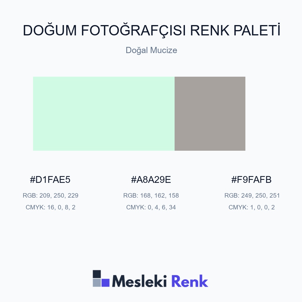 Doğum Fotoğrafçısı Doğal Mucize Renk Paleti