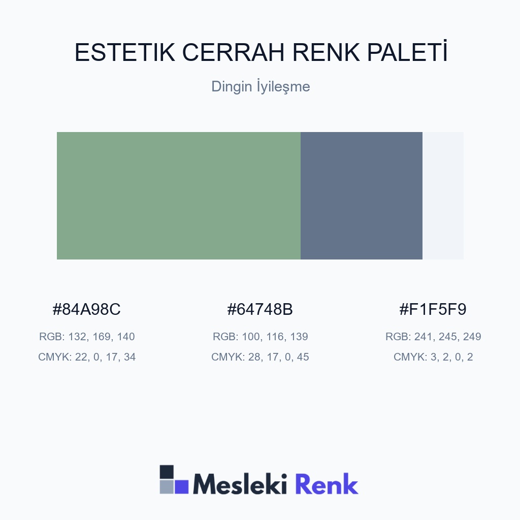 Estetik Cerrah Dingin İyileşme Renk Paleti