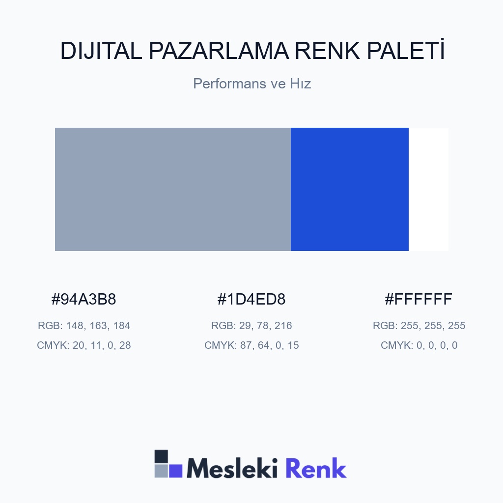 Dijital Pazarlama Performans ve Hız Renk Paleti