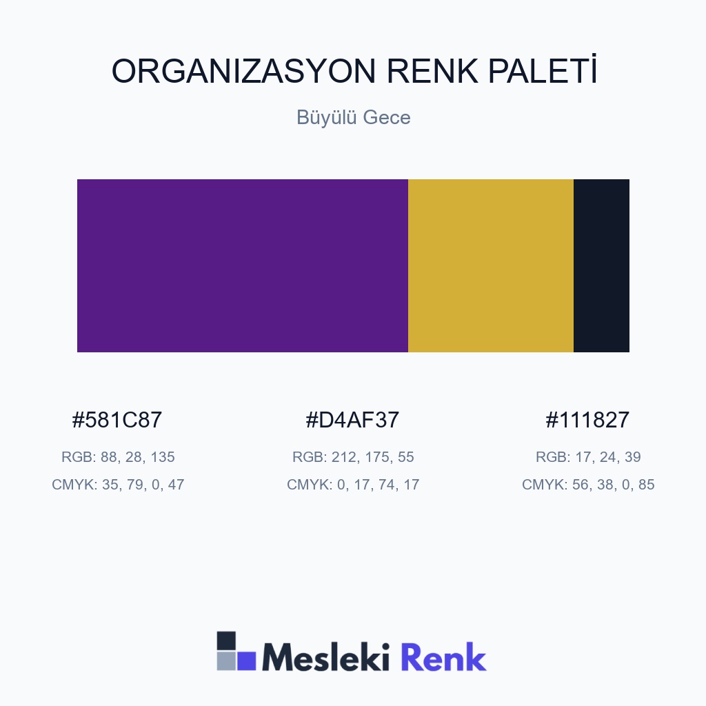 Organizasyon Büyülü Gece Renk Paleti
