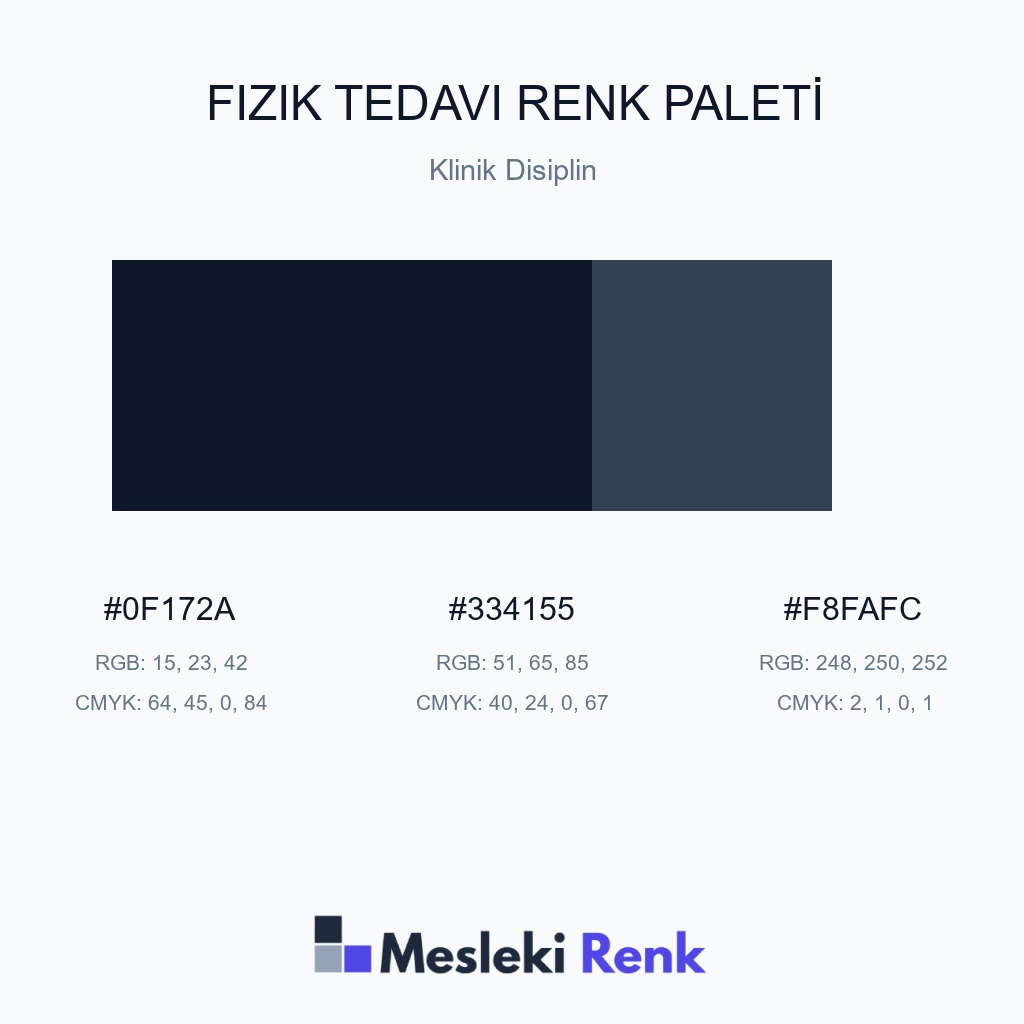 Fizik Tedavi Klinik Disiplin Renk Paleti