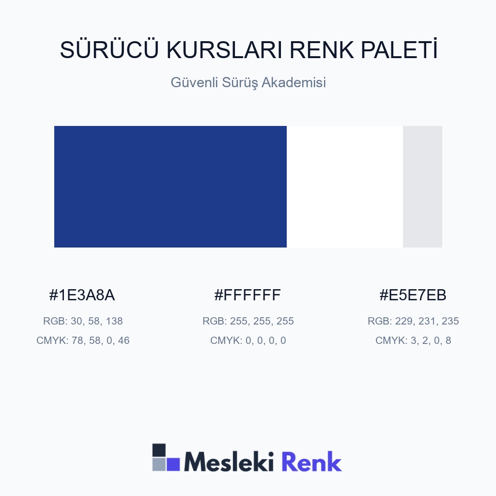 Sürücü Kursları Güvenli Sürüş Akademisi Renk Paleti