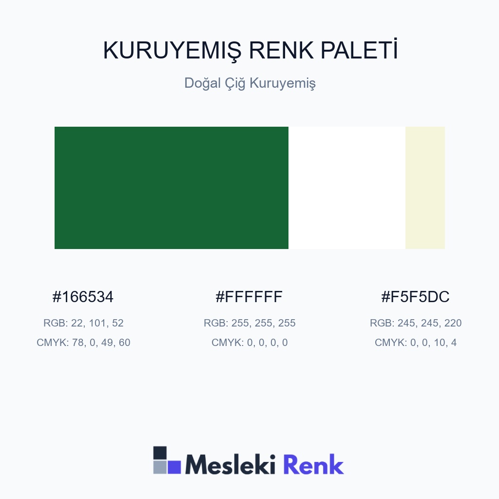 Kuruyemiş Doğal Çiğ Kuruyemiş Renk Paleti